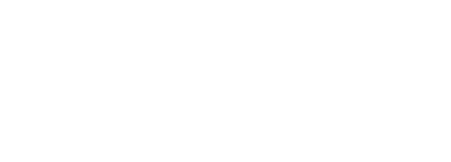 Capital One logo