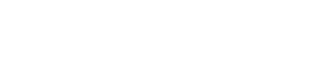 NordPass logo